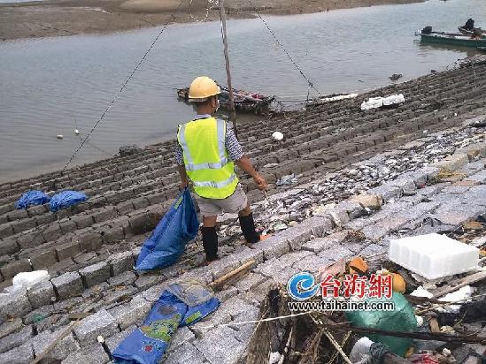 【福建時間】【廈門】【移動版】【滾動新聞】廈門海灘“死魚帶”長達十幾米 市民表示從未見過