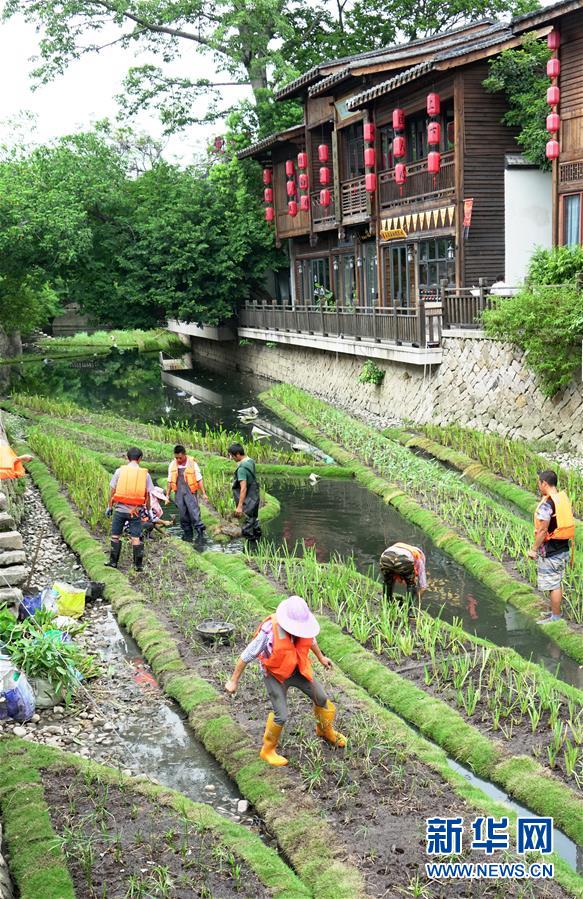 福州：構建內河水系生態修復鏈提升河水自凈能力