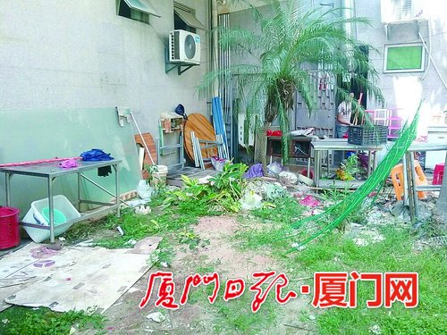 廈門區領導、機關組織實地巡檢 湖裏區市容管理經驗值得稱讚