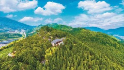 福建周寧：一片林蹚出一條生態致富路