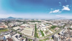 漳州市薌城區：“繁星”織鏈的産業“進化論”