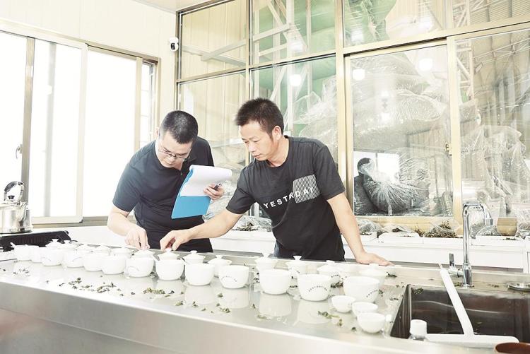 漳州華安茶林鄉：“包種包收” 實現共同增收_fororder_52be897a-e898-485f-ad79-450b6038630a