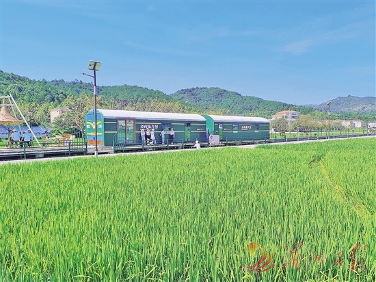 莆田鍾山鎮：鋪展和美共富新圖景