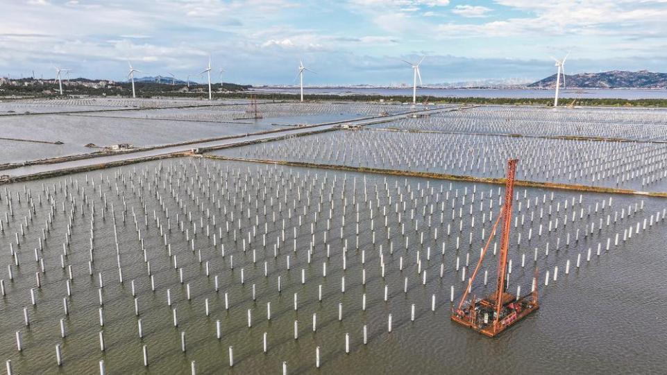 莆田湄洲：千畝海域崛起“綠能矩陣”