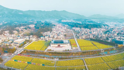 福建：山海城鄉 同心共富