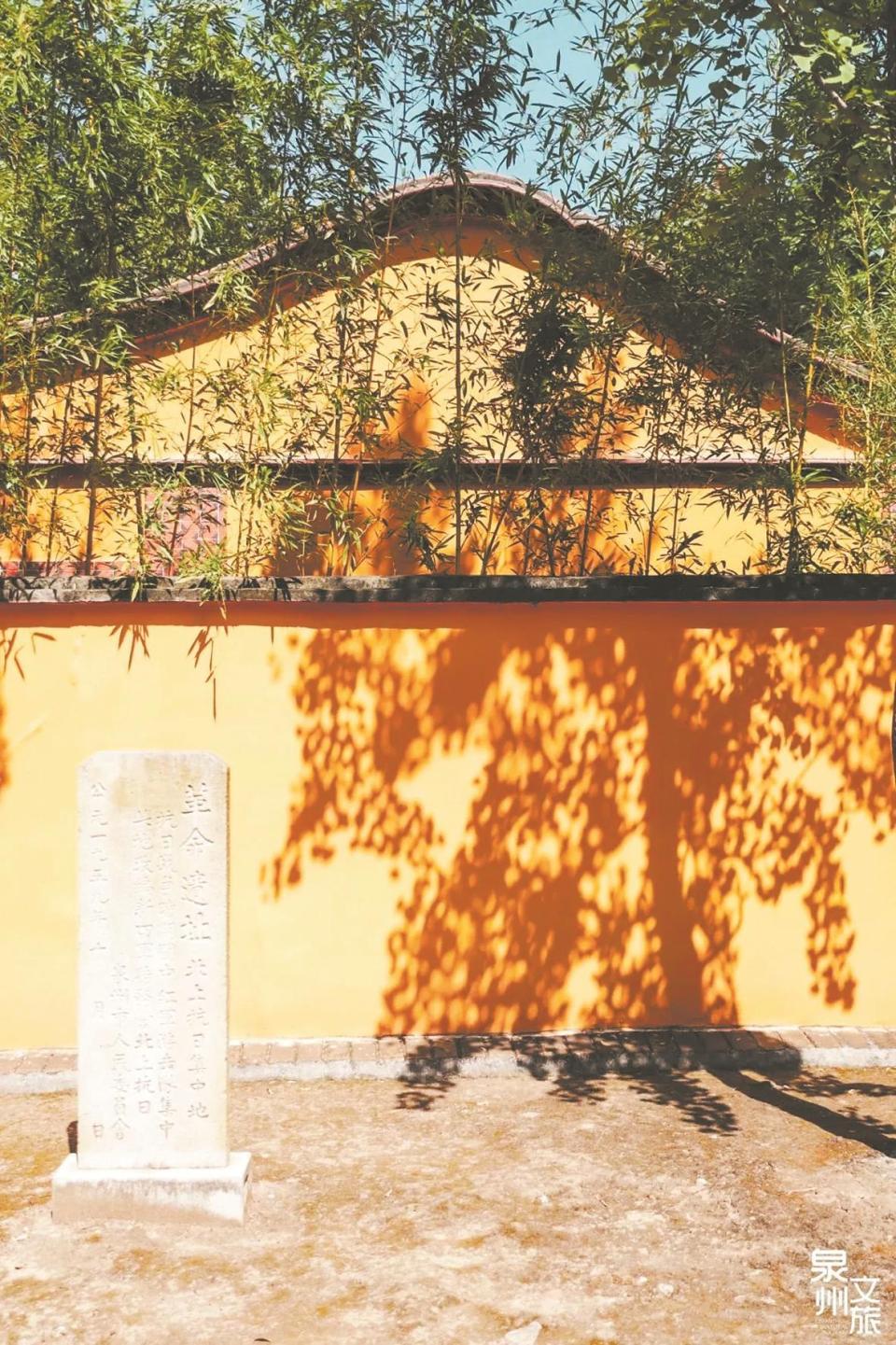 在泉州偶遇“多巴胺調色盤”