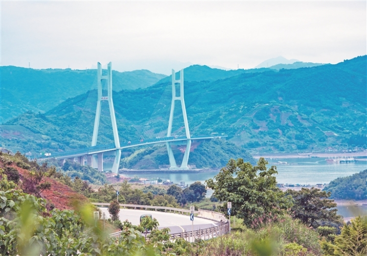 寧德福鼎安仁村：從“靠海吃海”到“全鏈興業”_fororder_p4_s