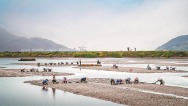 福建福安：耕海豐收