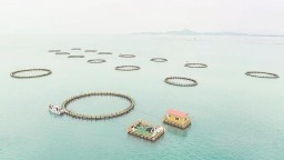 漳州：多樣化海水養殖模式鍛造百億漁業