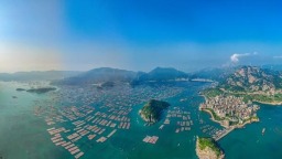 向海圖強 福州答好漁業資源保護“生態卷”