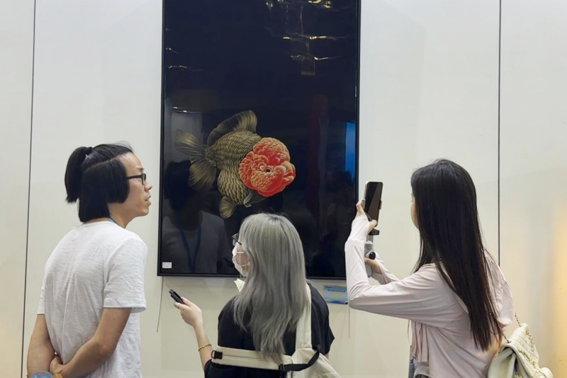 833尾精品金魚亮相福州同臺鬥艷_fororder_圖片4