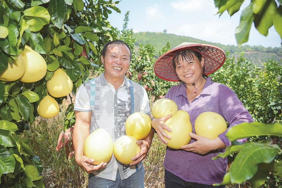 龍岩上杭：加快城鄉融合 促進共同富裕