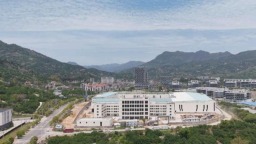 福州永泰：枝頭鮮綠心頭甜 青梅成為“致富果”