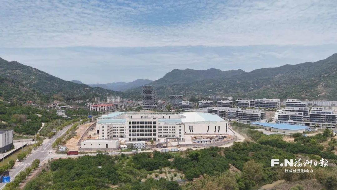 福州永泰：枝頭鮮綠心頭甜 青梅成為“致富果”