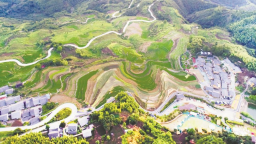 南平政和：念山雲上梯田景區展現獨特魅力