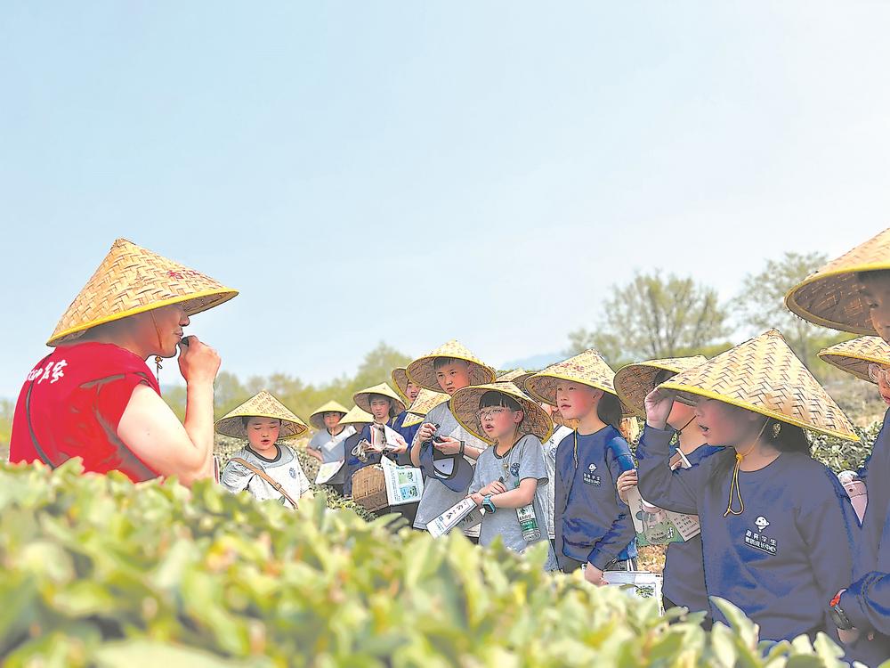 合福高鐵：串起“黃金旅遊帶”和生態致富圈