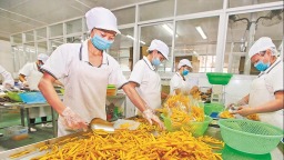 龍岩連城：“一根地瓜富半縣”的新實踐