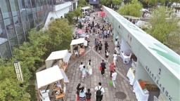 寧德福鼎：深化茶旅融合 傳播“雙世遺”白茶文化