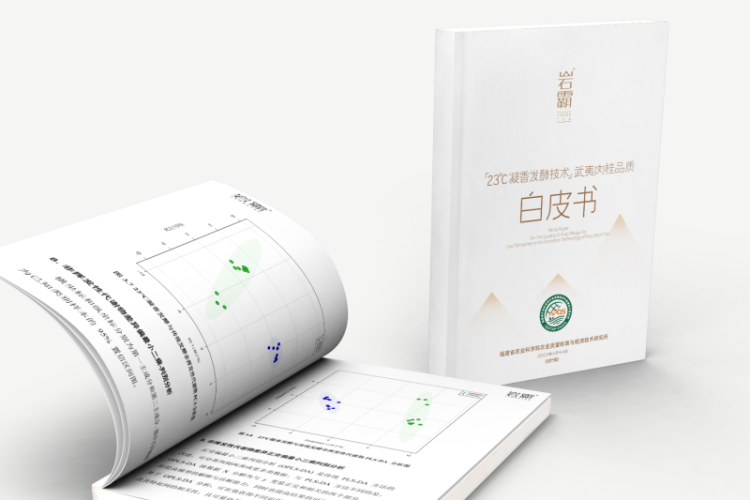 福建‌武夷山興田生態茶産業“以質突圍”的科技密碼_fororder_圖片6