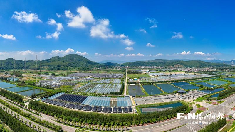 增速居全省首位 福州農業農村“半年報”出爐