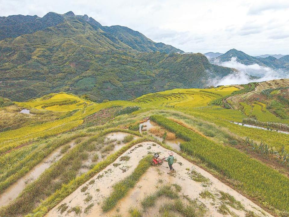 福建政和：雲上梯田 “吃上文旅飯”_fororder_39a958f5-a0f5-4e99-8942-3cf383903f8f