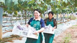 寧德深耕“8+1”特色産業助力鄉村振興