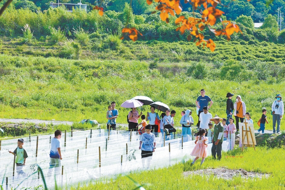 泉州安溪：千年茶香煥發新時代新韻味_fororder_微信截圖_20250508091547