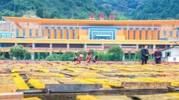 泉州四地與福廈串起“直達生活圈”
