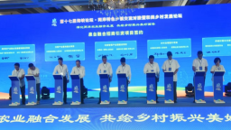 第十七屆海峽論壇·兩岸特色鄉鎮交流對接活動舉辦