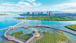 生態與經濟同頻共振 廈門藍色版圖加速煥新