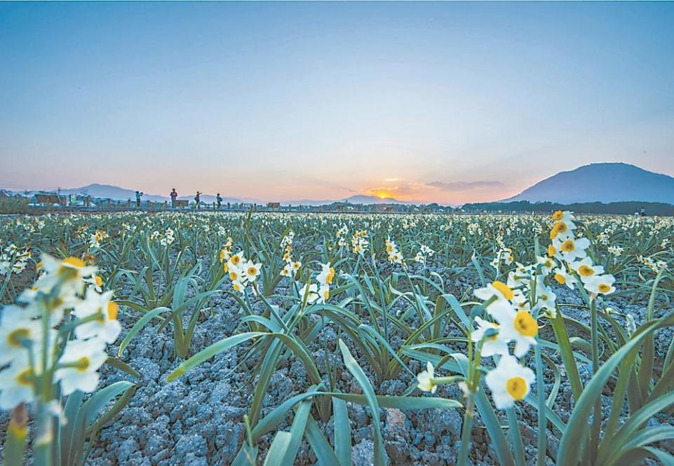 漳州：遊田園都市 品文化名城