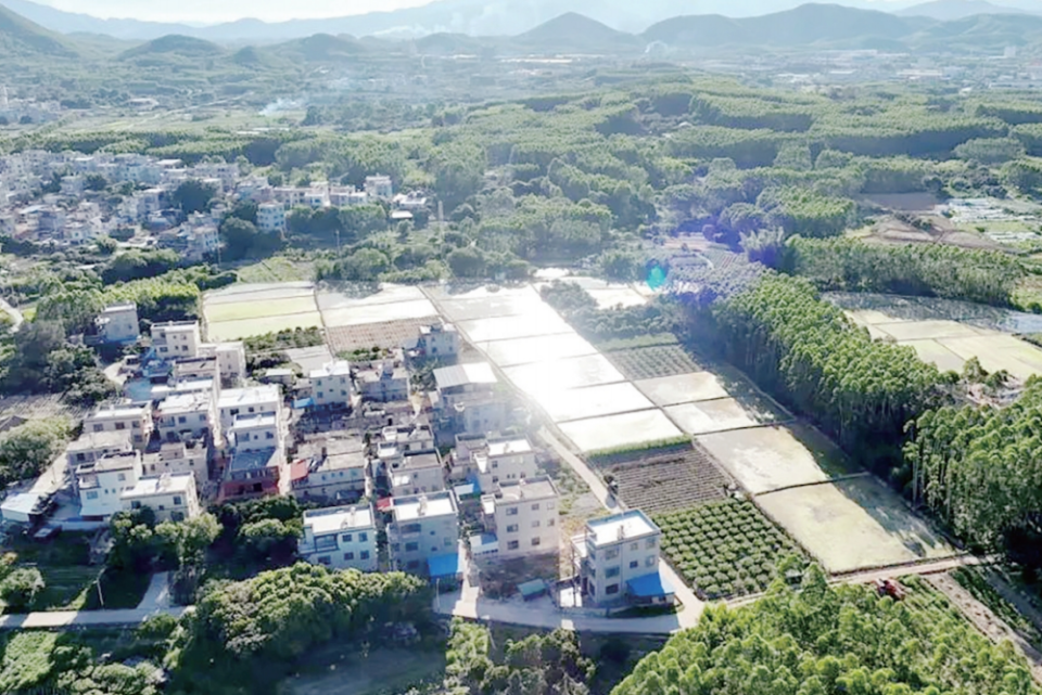 漳州雲霄：“園改耕”激活沉睡土地_fororder_微信截圖_20250708092702