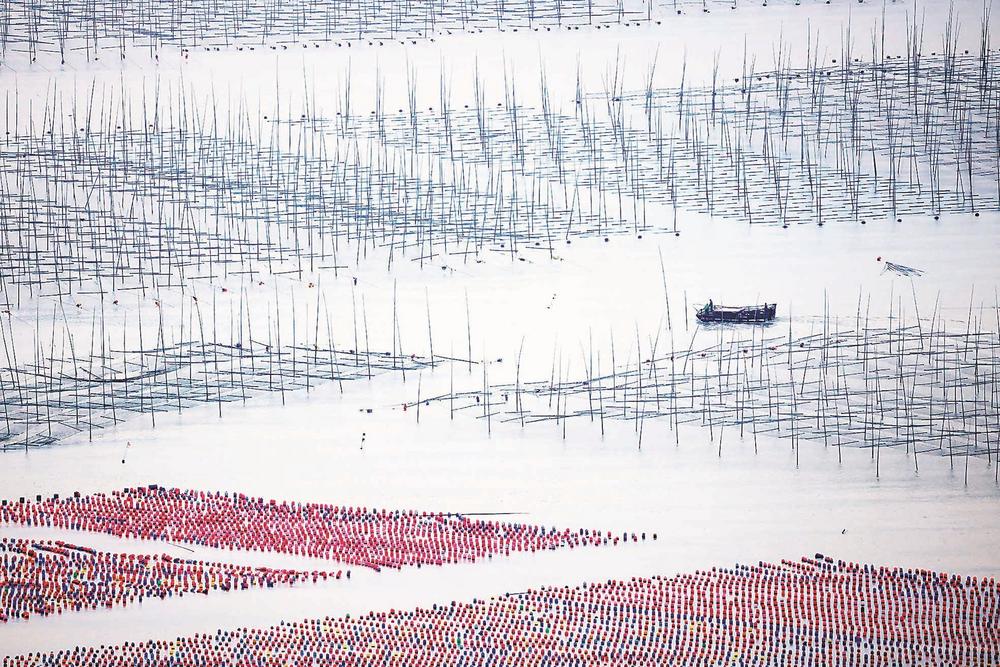 福建霞浦海上秋耕圖_fororder_6dd29c9d-e1f4-447e-bf24-9d513a763b4f