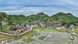 寧德壽寧李家洋村：畬鄉秘境中的詩畫田園