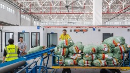 福州：搭建開放大平臺 打造招商強磁場