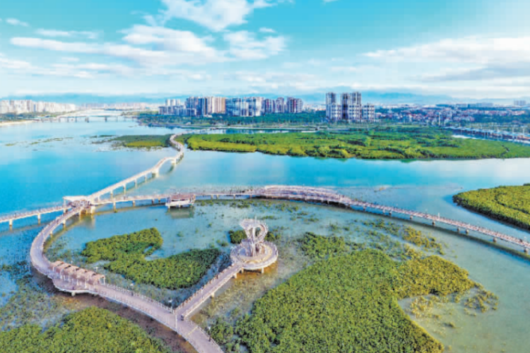 生態與經濟同頻共振 廈門藍色版圖加速煥新_fororder_wechat_2025-10-10_093108_199_副本
