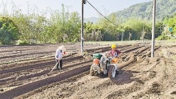 特色農業“多點開花” 莆田涵江多舉措助推強村富民