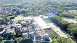 漳州雲霄：“園改耕”激活沉睡土地