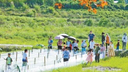 泉州安溪：千年茶香煥發新時代新韻味