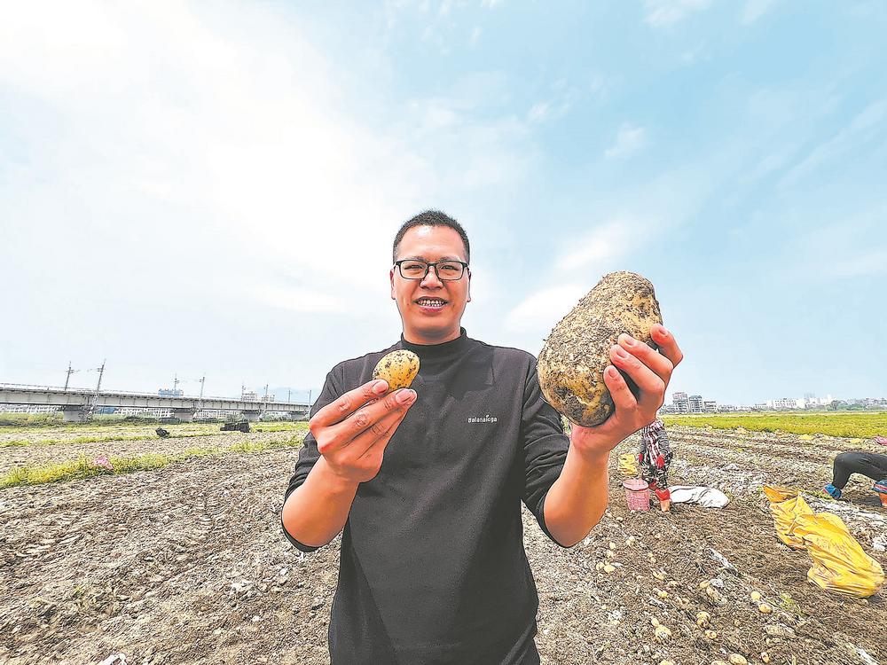 福州長樂發展農業新質生産力，推進馬鈴薯等糧食作物品質、産量提升  糧田“新”變_fororder_fbb8b515-b061-44f1-8c35-345d93862fbe