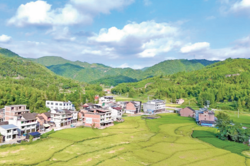 寧德福鼎:小田並大田 荒地變良田