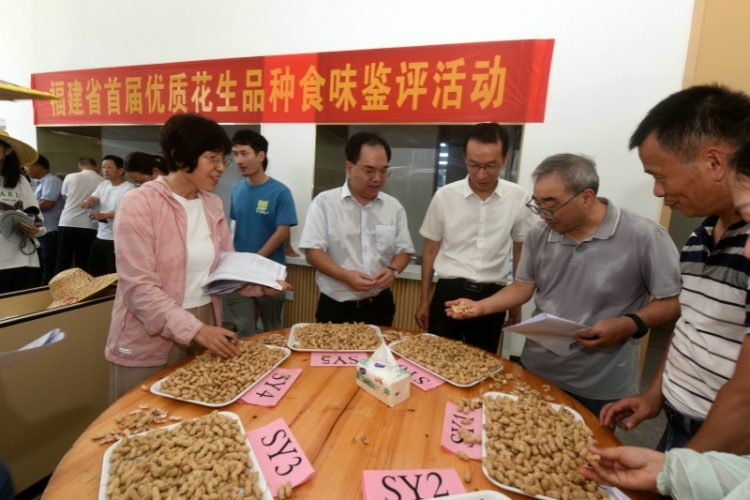 福建省舉行首屆優質花生品種田間集中展示活動_fororder_微信圖片_2025-08-01_142749_787_副本