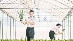 漳州：“漳字號”農産品奔涌出海