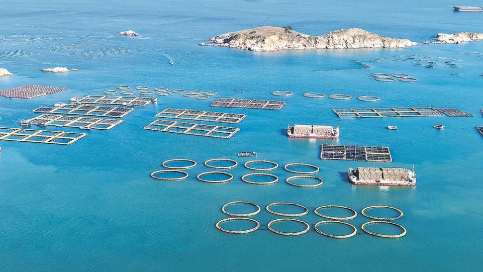 怎樣經略海洋？福建打了個樣兒！