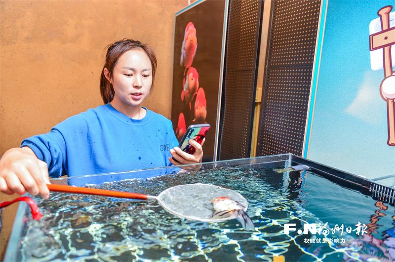 現代物流推動福州金魚業蓬勃發展