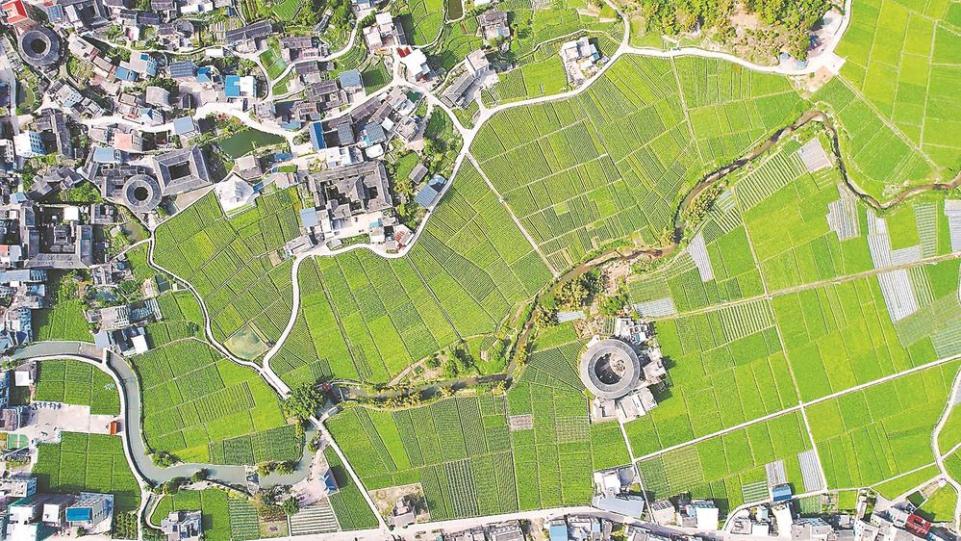 龍岩永定：土樓與農業種植基地構成美麗的鄉村春景畫卷_fororder_15f9f860-a68d-435a-b515-403d9ef7c5f3