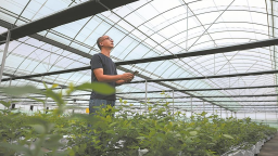 漳州長泰：科技賦能 低效用地變身高品質藍莓基地