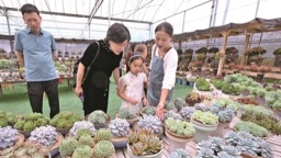 寧德：打好政策組合拳 全方位繁榮消費市場