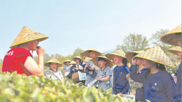 合福高鐵：串起“黃金旅遊帶”和生態致富圈
