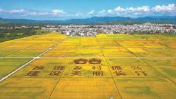 龍岩長汀：三代人接力種“三代田”